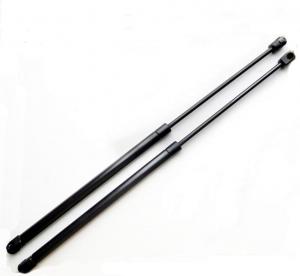Gas Spring